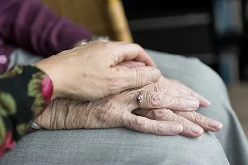 Senior Assisted Living Moves